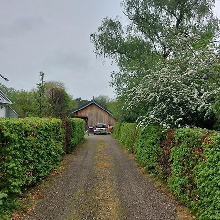 Nijeberkoop De Barre Hichte Bed & Breakfast エクステリア 写真